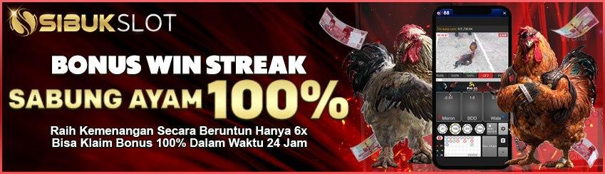 BONUS 100% WIN STREAK SABUNG AYAM 6X 7X 8X